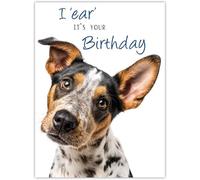 Noel Tatt Funny Birthday Card for Men - Dog Pun Joke - Amusing Happy Birthday Greeting Card with Envelope