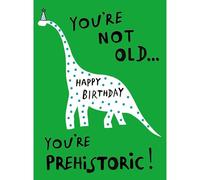 Noel Tatt Funny Birthday Card for Men or Women - Amusing Dinosaur Old Age Joke - Embossed Finish - Premium Birthday Greeting Card with Envelope - 'You're Prehistoric!'
