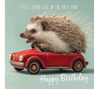 Noel Tatt Funny Birthday Card for Men or Women - Amusing Hedgehog & Classic Car Design - Premium Greeting Card with Envelope - Eco-Friendly & Recyclable