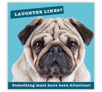 Noel Tatt Funny Birthday Card for Men or Women - Laughter Lines Pug Dog Joke - Amusing Birthday Greeting Card - 'Something Must Have Been Hilarious!'