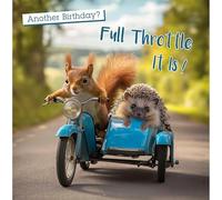 Noel Tatt Funny Birthday Card for Men - Squirrel and Hedgehog on Bike - Birthday Greeting Card with Envelope - 'Another Birthday' Joke