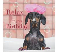 Noel Tatt Funny Birthday Card for Women or Girls - Cute Dachshund Dog Design - Amusing Greeting Card - 'Relax it's your Birthday'