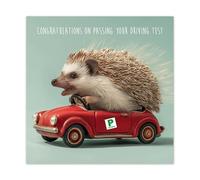 Noel Tatt Funny Congratulations on Passing Your Driving Test Card - Cute Hedgehog in Classic Car Design - Premium Greeting Card with Envelope