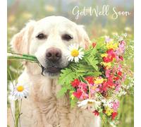 Noel Tatt Get Well Soon Card for Women - Cute Dog & Bouquet Design - Sunny Field Design - Uplifting Greeting Card For Recovery