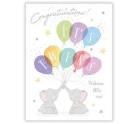 Noel Tatt New Baby Twins Congratulations Card - Birth Congratulations Card with Elephants and Balloons Design and Embossed Foil Details