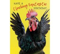 Noel Tatt Rude Birthday Card for Men - Funny Chicken Design - ‘Clucking Fantastic’ Joke Birthday Card - Hilarious Greeting Card for Him