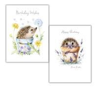 Noel Tatt Two Pack Female Birthday Cards - Pack of 2 Assorted Cute Hedgehog Designs - Lovely Illustrated Greeting Cards with Envelopes - For Women, Girls, Kids & Adults