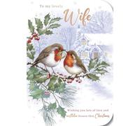 Noel Tatt Wife Christmas Card, Single - Christmas Cards with Robins and Holly Branches Festive Design with Special Finishes - Eco-Friendly Xmas Cards with Envelope