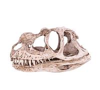 NOENNULL Dinosaur Skull, Dinosaur Bones Replica Head Sculptures Dinosaur Skeleton Model Statue for Home Office Decor Bookshelf Shelf Display, Holiday Birthday Adults Kids