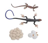 NOENNULL PVC Realistic Animal Life Cycle Toy Figurines Sandbox Accessories Educational Life Cycle Toy for Kids Fun Learning Experience