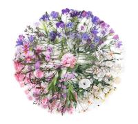 NOGAMOGA 120 PCS Floral Vintage Stickers, Transparent Flower Stickers, Aesthetic Floral Stickers, Nature Decorative Sticker for Scrapbook, Bullet Journals, DIY, Gift Packaging