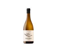 Nogara Viñas Viejas 2024