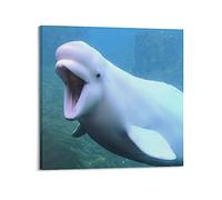 NOHF Beluga Whale Wall Art Sea Animal Poster Beluga Whale Poster Wall Art Print Retro Aesthetic Room Decor Painting Canvas Posters for Home And Office Decorations 16x16inch(40x40cm) Frame-style