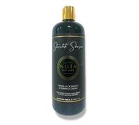 NOÏA HAIR - Sulfate-Free Professional Shampoo 1000ML + Free Blow-Dry Brush (Stimulate Castor Oil, Garlic & Sesame Shampoo 1000ML)