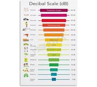 Noise Level Decibel Chart Poster Environmental Safety Posters Metal Tin Sign Wall Art for Room Aesthetic and Decor Bedroom Living Bathroom Kitchen Office 8x12 inch