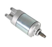 NOKRGQW Battery Motor Starter For Adly For Mini Car OnRoad Canyon 320 Hurricane 320 For Supermoto 320 LOF SM Ab SE HER-31200-225-000 31200-225-000 Starter Motor Starter Motor