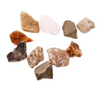 NOLITOY 10pcs Natural Mineral Rock Specimen Kit for Geology Classroom Educational Use Visible Texture Stone Decor for Science Learning and Geography Study Multipurpose Desktop Ornament