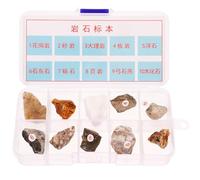 NOLITOY 10pcs Natural Mineral Rock Specimen Kit with Irregular Stone Samples for Geology Science Education and Classroom Teaching, Suitable for Desktop Display and Scientific Study