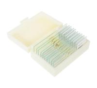 NOLITOY 10pcs Prepared Microscope Slides with Insect Specimens for Biology Class Educational Set, Glass Specimen Slides for Student Science Learning and Microbiology Practice