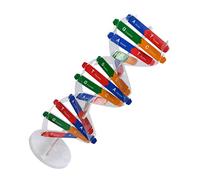 NOLITOY 1Set Dna Model Kit Human Genes Double Helix Assembly for Educational Scientific Learning Interactive Fun Build for Explore Dna Structure Functions