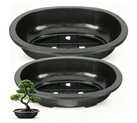NOLITOY 2 PCS Bonsai Pot Oval Shallow Planter Succulent Container with Drainage Hole for Indoor Outdoor Planting Office Desk Kitchen Counter Garden Balcony Nursery Growing Art Tool 12 inches Black