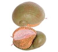 NOLITOY 2pcs Realistic Simulation Snail Model Figures for Educational Play and Decorative Garden Ornaments Imitation Animal Figurines for Cognitive Development and Imaginative Learning