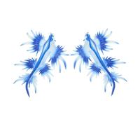 NOLITOY 2pcs Soft Plastic Sea Slug Figures Realistic Animal Models for Desktop Decoration Educational Stem for Collectible Mini Ocean Creatures