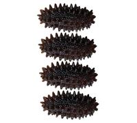 NOLITOY 4pcs Realistic Sea Cucumber Models Lifelike Simulated Trepang Decor for Market Display Educational Cognitive Animal Props