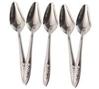 NOLITOY 5Pcs Bird Feeding Spoon Stainless Steel Portable Parrot Cockatiel Spoon for Small Medium Birds Milk Food Water Feeding Tool