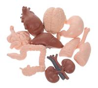 NOLITOY 8Pcs Human Anatomy Organ Model Realistic Cognitive Organ Props for Education Medical Study Brain Heart Kidney Intestines for Students and Doctors