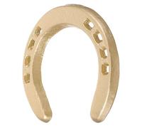 NOLITOY Cast Iron Horseshoe Wall Decor, Easy Installation and Suspendable Metal Wall Hanging for Children's Room or Home Decoration, Vintage Retro Style with Golden Finish