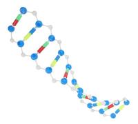 NOLITOY Dna Model Double Helix Educational Teaching Aid for Students with Detailed Structure Interactive Science Learning Tool for Biology Classes and Study