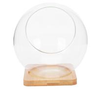 NOLITOY Glass Succulent Vase and Moss Terrarium with Bamboo Mat 13.5x13.5cm, Home Organizer Plant Pot for Miniature Eco Landscape, Suitable for Indoor Gardening and Succulent Display