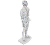 NOLITOY Human Body Acupuncture Model Training Model Plastic White Acupoint Display for Students Massage Practitioners Massage Suitable for Acupuncture Training