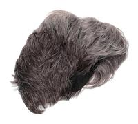 NOLITOY Men's Gradient Gray Short Straight Wig with Side Fringe, High Temperature Fiber Cosplay Wig for Party and Costume, Toupee Hair for Men, Synthetic Hairpiece Suitable for Halloween