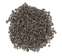 NOLITOY Modeling Stones Dark Grey 2-5mm Natural Polished Miniature Railway Stone Models for Micro Landscape and Fish Tank Decoration 50g Bag