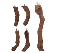 NOLITOY Natural Wood Bird Perch Stand with Multi-branch Design for Parrots and Pet Birds Chewing and Activity Rod Rough Surface for Secure Standing Easy to Install Promotes Exercise and