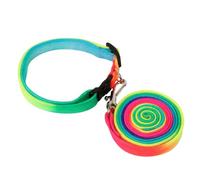 NOLITOY Nylon Dog Leashes for Outdoor Walking and Training 2pcs Practical Colorful Traction Rope with Balance between Freedom and Control for Puppies and Pets