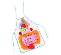 NOLITOY Organs Apron for Educational Cognitive Preschool Learning Aid Teaching Tool for Boys