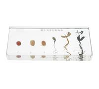 NOLITOY Peanut Germination Process Specimen for Teaching Peanut Growth History Display Specimen Biological Embedding for Educational Use