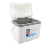 NOLITOY Portable 6l Insulated Lunch Box Cooler with Excellent Insulation and Car-compatible Design, Lightweight Pp Material Cooler for Picnics and Self-driving Tours