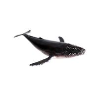 NOLITOY Realistic Humpback Whale Model with Detailed Texture for Early Education and Life Awareness Plastic Figurine for Home Decor Party Decorations and Collectible Ocean Animal Display