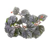 NOLITOY Simulated Reptile Plant Hanging Leaf Ornament with Suction Cup Decreases Reptile Stress Safe Plastic and Rattan Material 27X22X13Cm and Climbing Pets