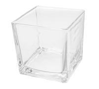 NOLITOY Square Glass Flower Vase for Hydroponic Plants, 8x8cm Thickened Cube Planter for Tabletop Decor and Modern Floral Centerpiece