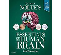 Nolte's Essentials of the Human Brain: With STUDENT CONSULT Online Access