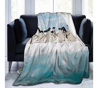 NOLYXICI Soft Fleece Throw Blanket,Cute Penguin Animals Image Penguins Happy Roaming Antarctic Ice Field Funny Nature Scene,Home Hotel Bed Couch Sofa Throw Blankets For Couple Kids Adults,75x125cm
