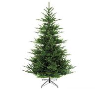 Noma 7ft Nordman Fir Christmas Tree