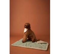 Nomadic rug/blanket for FAMILY pets striped green