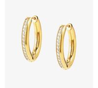 Nomination Affinity Gold Plated Hoop Earrings 028607/012
