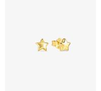 Nomination Armonica Gold Plated Star Stud Earrings 241307/009